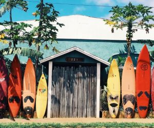 hawaii surfboards