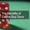 The Benefits of Casino Bus Tours